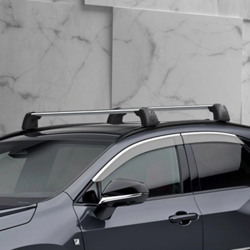 TETŐCSOMAGTARTÓ KERESZTRÚD TÁROLÓZSÁKKAL 0