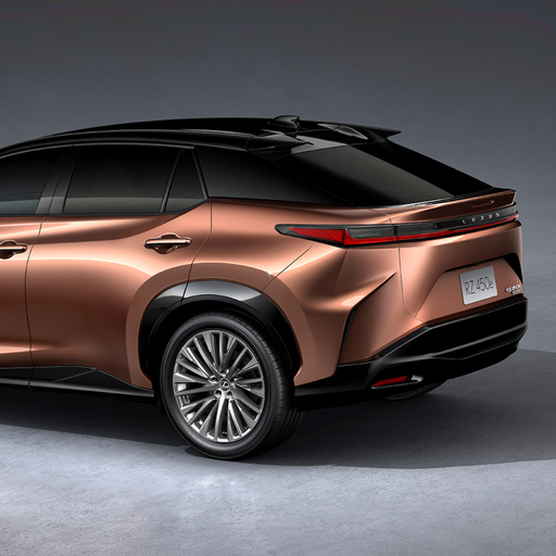 Тоноване заднє скло та скло задніх дверей 0