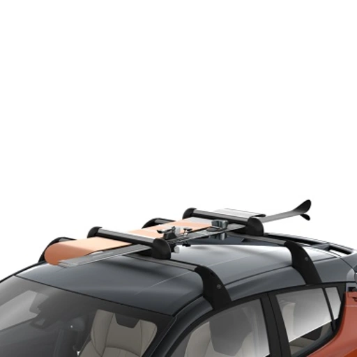 Afsl. skihouders (horizontaal 4 paar ski's of 2 snowboards) 0