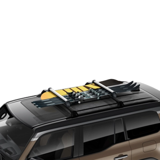 Դահուկների կրիչ - 6p 0