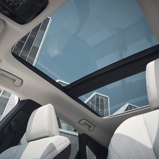 Panoraminis stogas 0