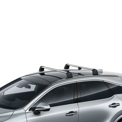 TETŐCSOMAGTARTÓ KERESZTRÚD TÁROLÓZSÁKKAL (Teli/üvegtetős veriókhoz) 0