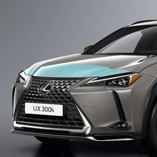 Apsauginė variklio dangčio plėvelė 0