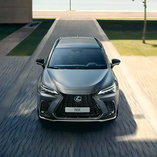 L ոճավորման ֆիրմային հովացուցիչի պաշտպանիչ ցանց 0