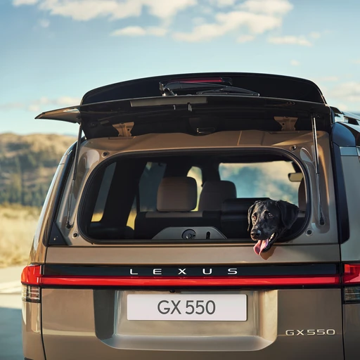 Բեռնախցիկի դռան բացվող ապակե լյուկ 0