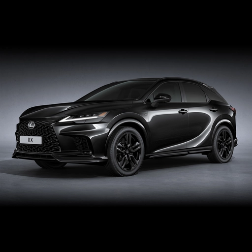 Սև արտաքին ոճավորման փաթեթ 0