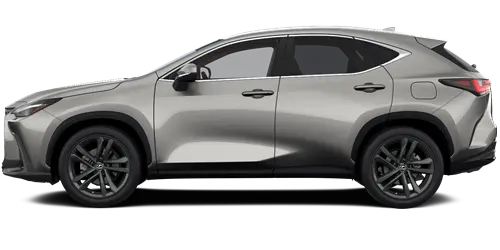NX NX