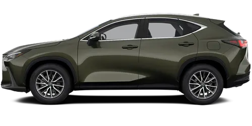 NX NX