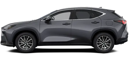 NX NX