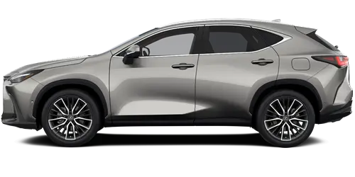 NX NX